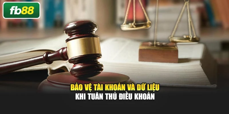 Bảo vệ tài khoản và dữ liệu khi tuân thủ điều khoản