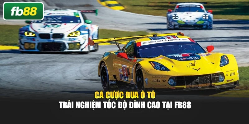 Cá Cược Đua Ô Tô – Trải Nghiệm Tốc Độ Đỉnh Cao Tại Fb88