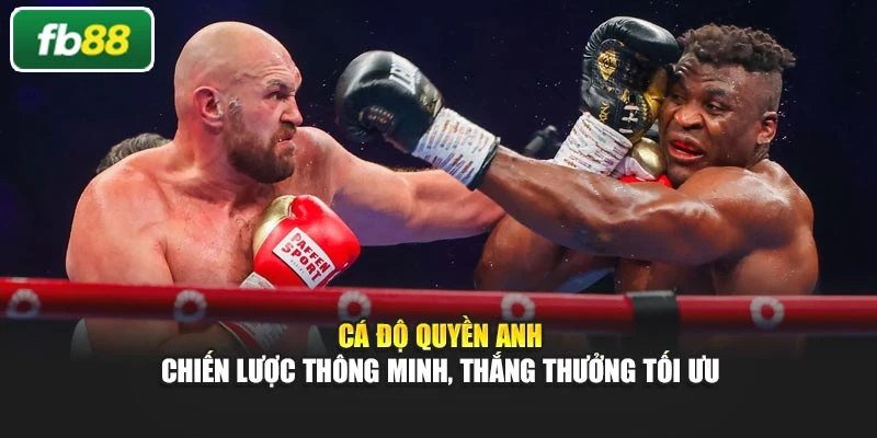 Cá Độ Quyền Anh – Chiến Lược Thông Minh, Thắng Thưởng Tối Ưu