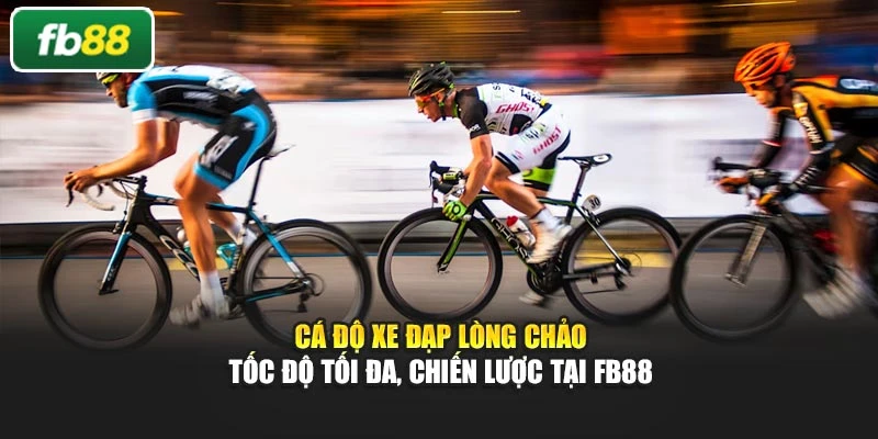 Cá Độ Xe Đạp Lòng Chảo – Tốc Độ Tối Đa, Chiến Lược Tại Fb88