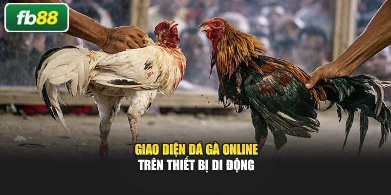 Giao diện đá gà online trên thiết bị di động