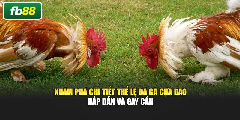 Khám Phá Chi Tiết Thể Lệ Đá Gà Cựa Dao Hấp Dẫn Và Gay Cấn