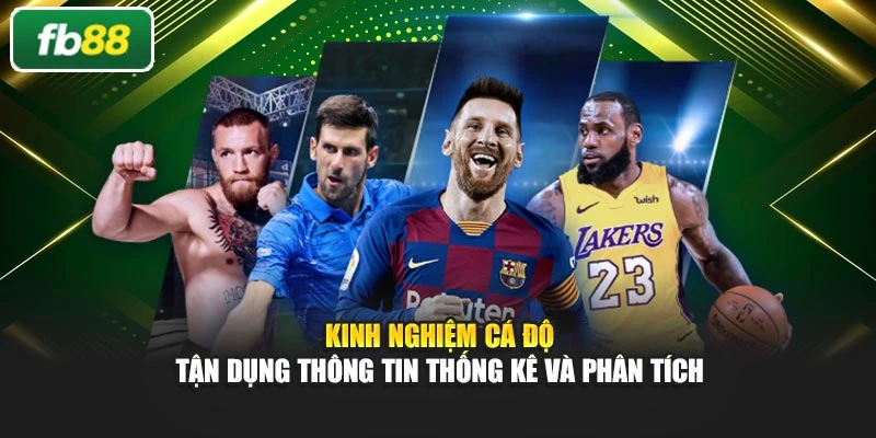 Kinh nghiệm cá độ tận dụng thông tin thống kê và phân tích