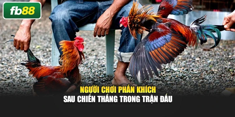 Người chơi phấn khích sau chiến thắng trong trận đấu