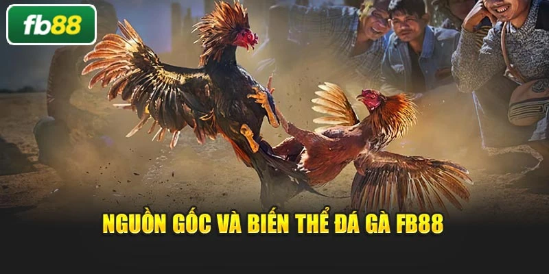 Nguồn gốc và biến thể đá gà Fb88