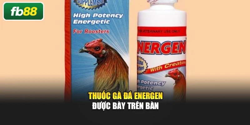 Thuốc gà đá Energen được bày trên bàn