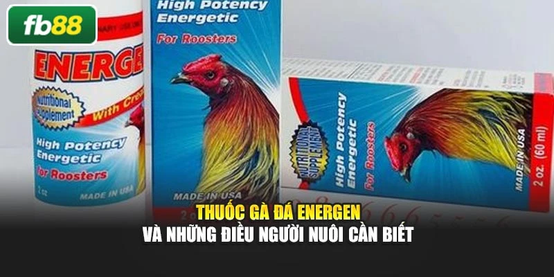 Thuốc Gà Đá Energen Và Những Điều Người Nuôi Cần Biết