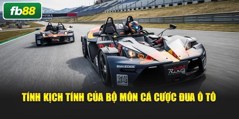 Tính kịch tính của bộ môn cá cược đua ô tô