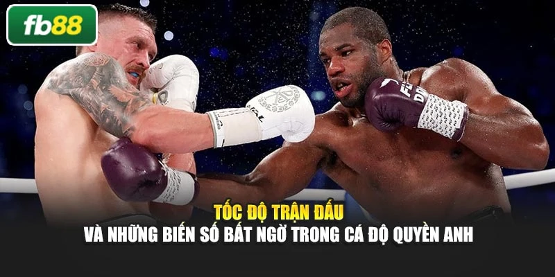 Tốc độ trận đấu và những biến số bất ngờ trong cá độ quyền anh