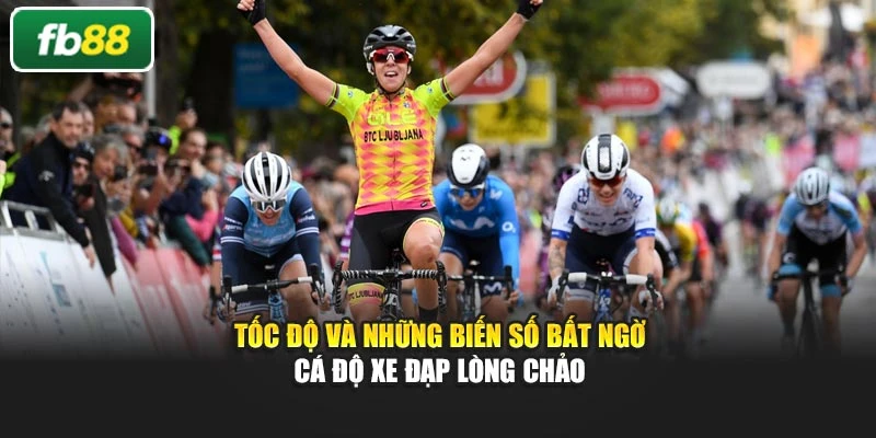 Tốc độ và những biến số bất ngờ cá độ xe đạp lòng chảo