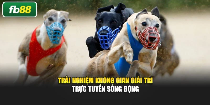 Trải nghiệm không gian giải trí trực tuyến sống động