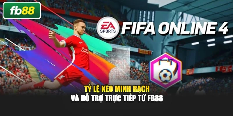 Tỷ lệ kèo minh bạch và hỗ trợ trực tiếp từ Fb88