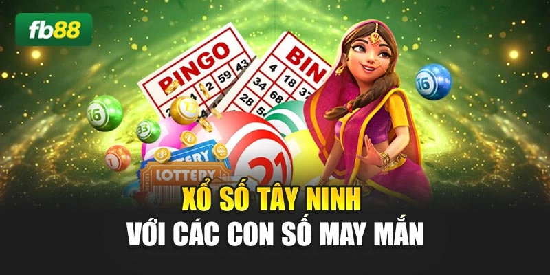 Xổ số Tây Ninh với các con số may mắn